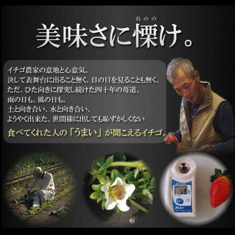 専用ギフトパッケージ★佐賀県産ブランドいちご 【厳選 咲姫】 400g入り(9～12粒)