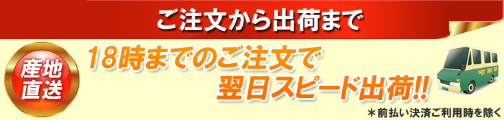 スピード出荷